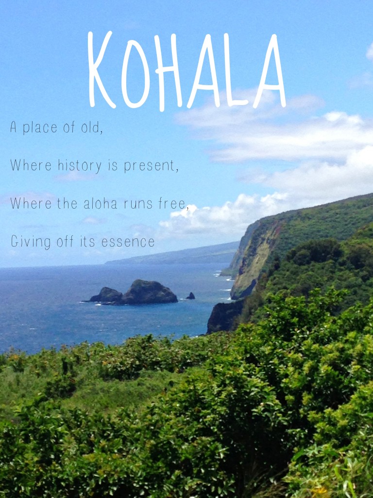 kohala2.jpg